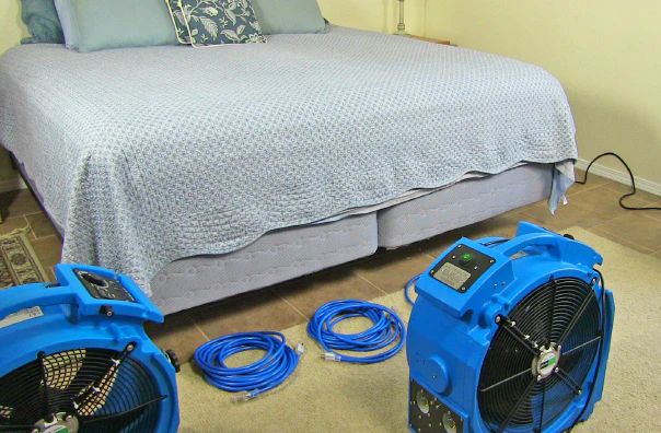 Tahtakurusu için kuru ısı uygulaması