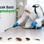 Evi Böcek Bastı Ne Yapmalıyım?