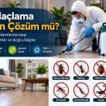 Evi İlaçlama Kesin Çözüm mü?