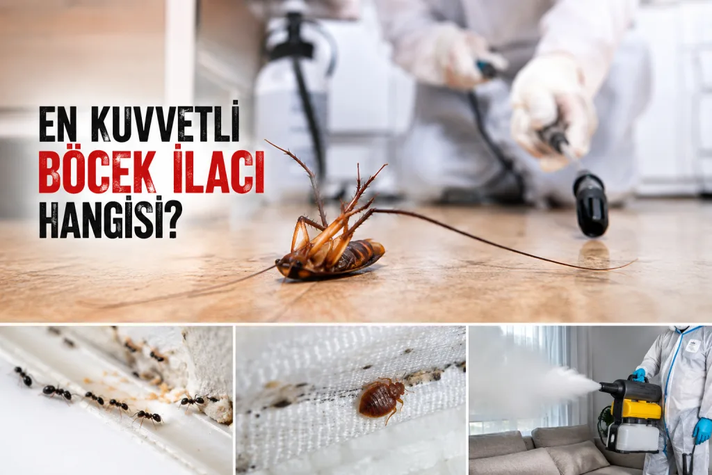 En kuvvetli böcek ilacı hangisi?