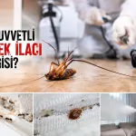 En kuvvetli böcek ilacı hangisi?