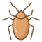 cockroach, bug, medium